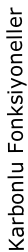 Karbonlu Fonksiyoneller
