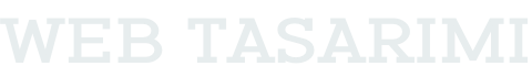 Web tasarImI