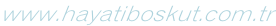 www.hayatiboskut.com.tr